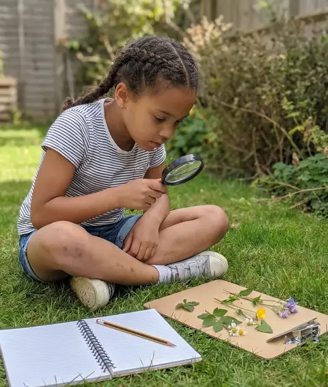 Homeschool nature study - child examining plants outdoors